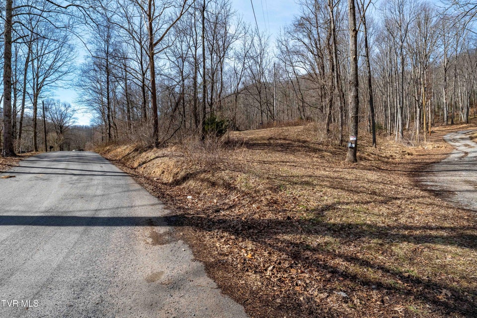 Photo #25: Tbd Buchanan Road