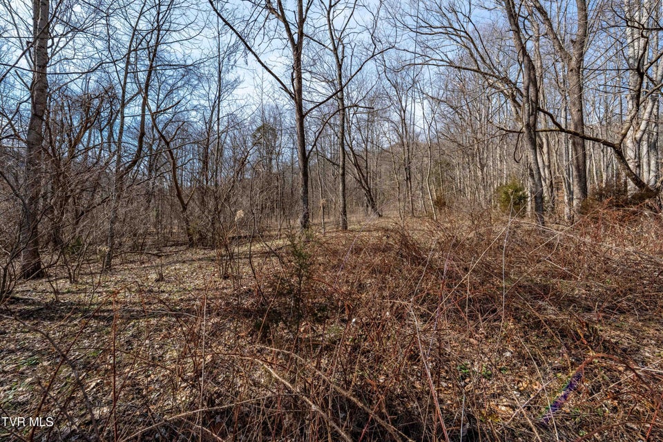 Photo #27: Tbd Buchanan Road