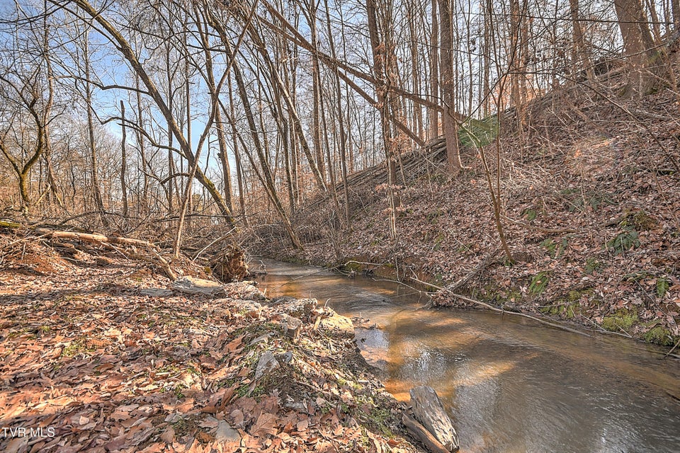 Photo #24: 531 Walnut Hill Road