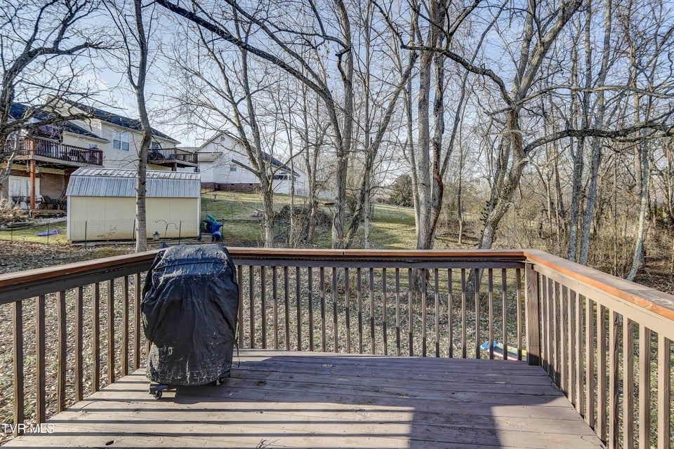 Photo #45: 103 Judd Lane