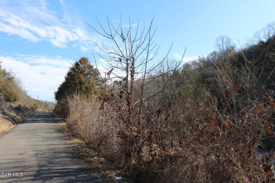 Photo #4: 530 War Creek Road