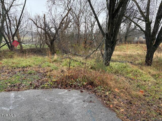 Photo #2: 221 Cedar Street