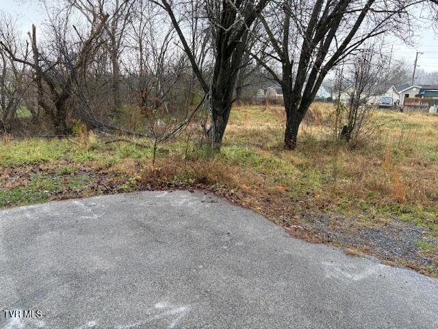 Photo #6: 221 Cedar Street