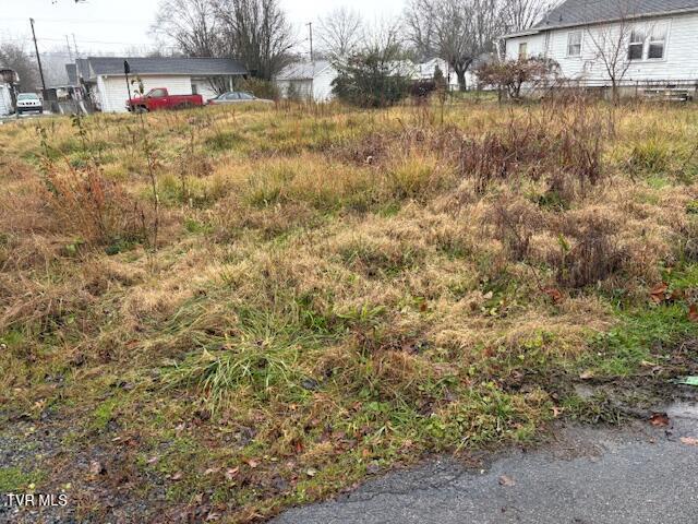 Photo #9: 221 Cedar Street