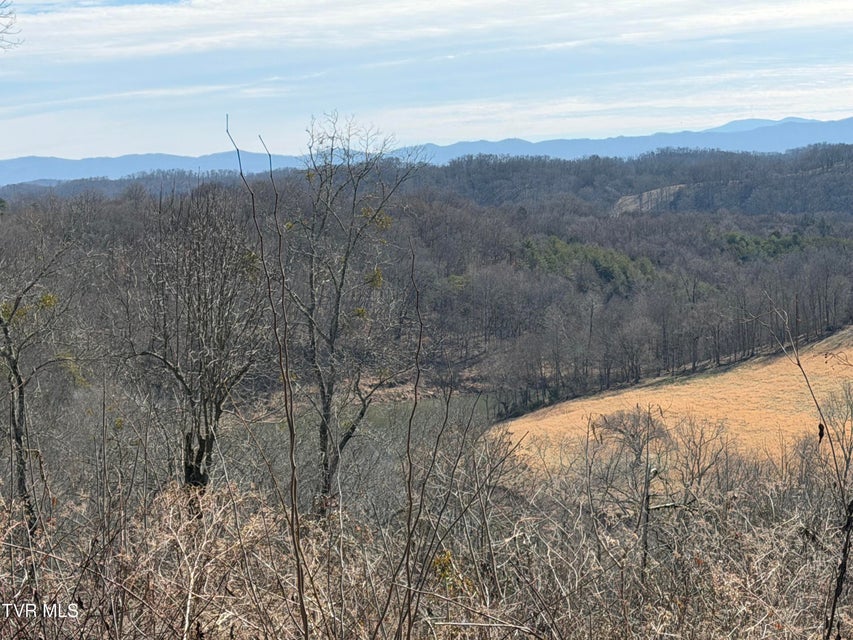 Photo #4: 13.94 Acre Fish Hatchery Road