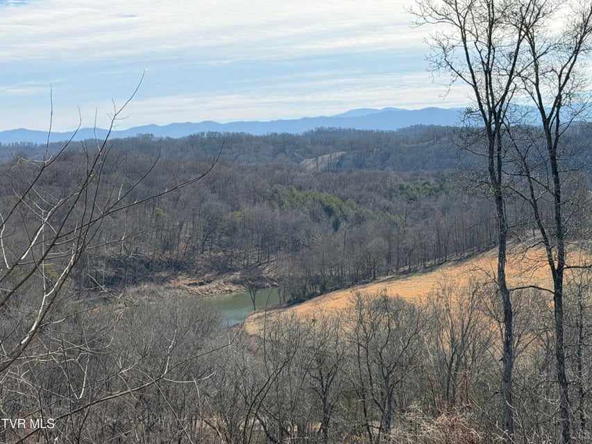 Photo #5: 13.94 Acre Fish Hatchery Road