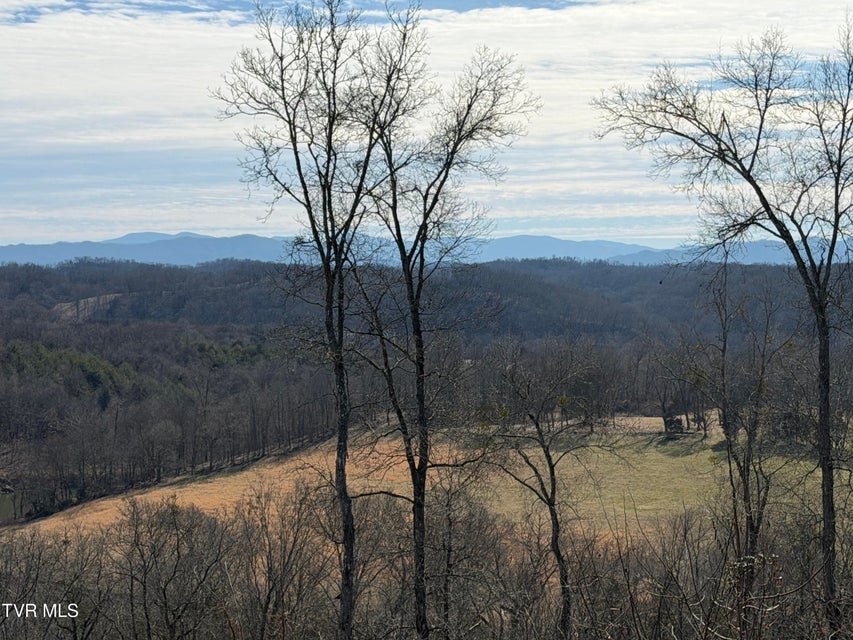 Photo #6: 13.94 Acre Fish Hatchery Road