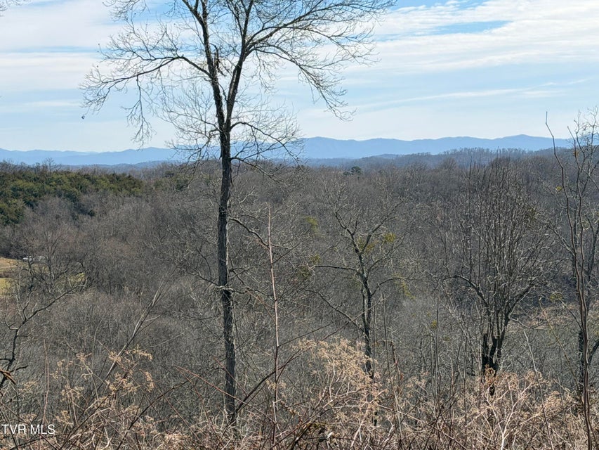 Photo #7: 13.94 Acre Fish Hatchery Road