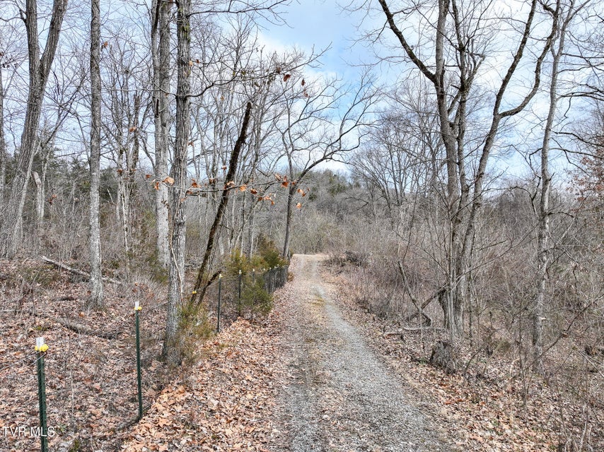 Photo #10: 13.94 Acre Fish Hatchery Road