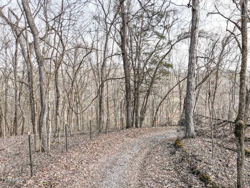 Photo #34: 13.94 Acre Fish Hatchery Road