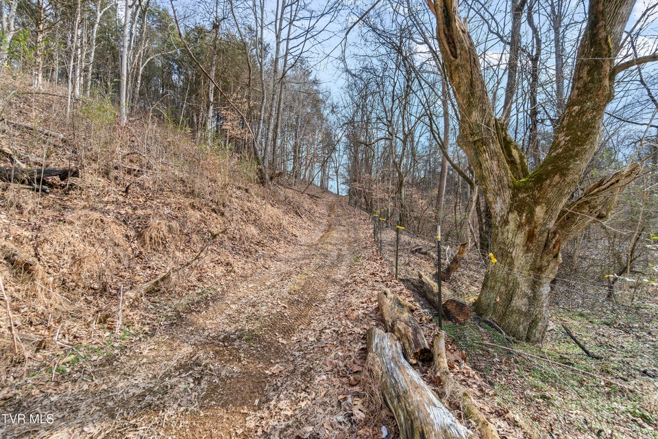 Photo #41: 13.94 Acre Fish Hatchery Road