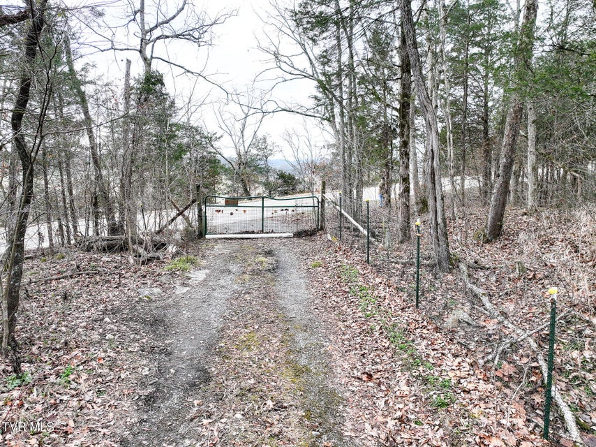 Photo #42: 13.94 Acre Fish Hatchery Road