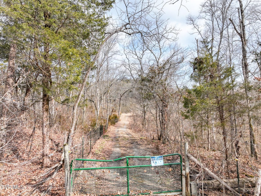 Photo #49: 13.94 Acre Fish Hatchery Road