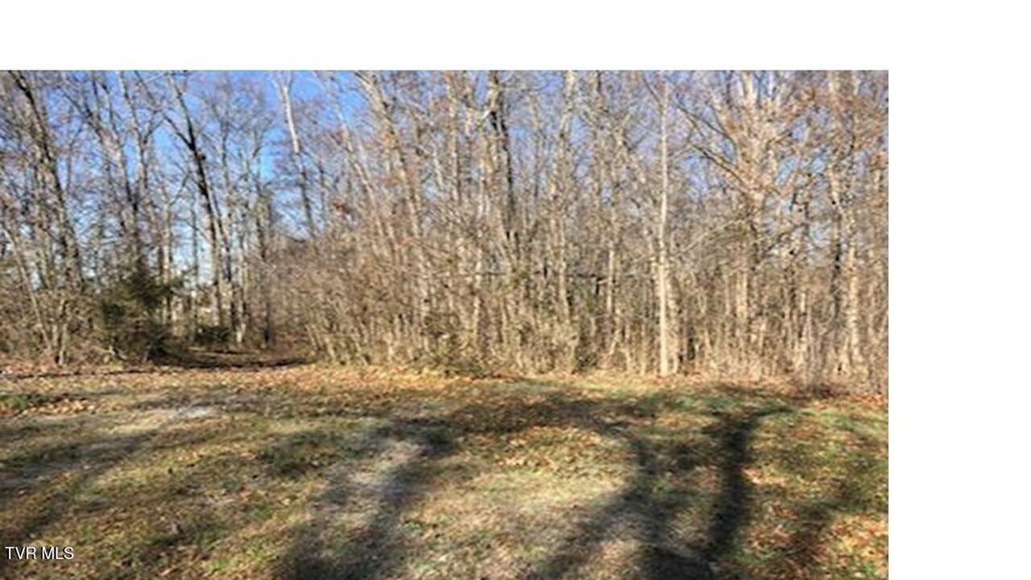 Photo #4: 25 Johnson Hollow Lane