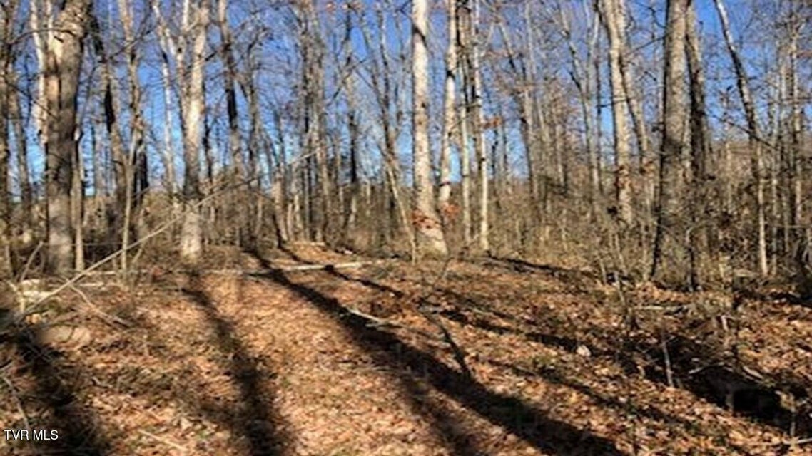 Photo #6: 25 Johnson Hollow Lane