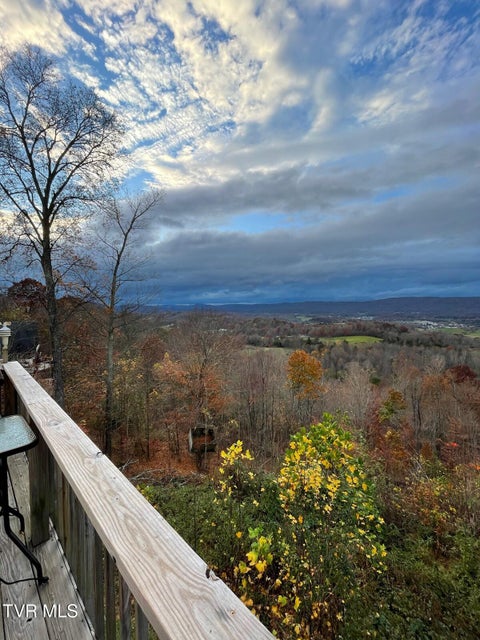 Photo #4: 512 Wood View Court