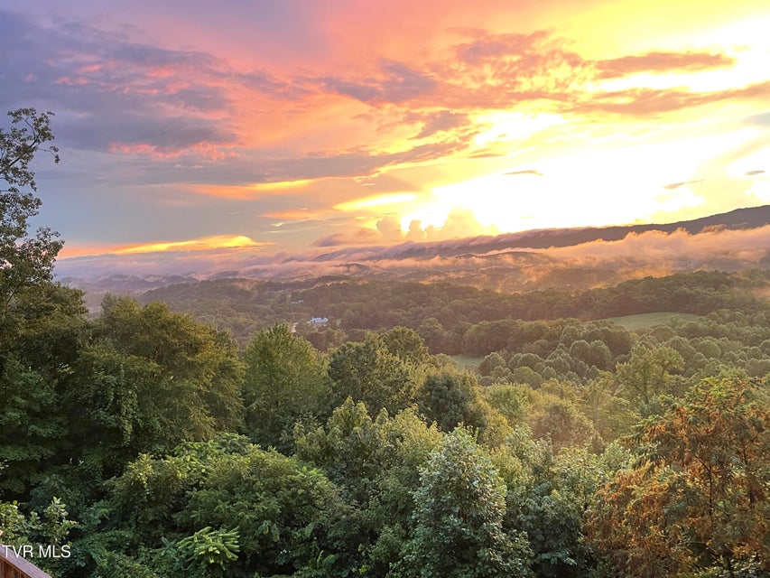 Photo #5: 512 Wood View Court