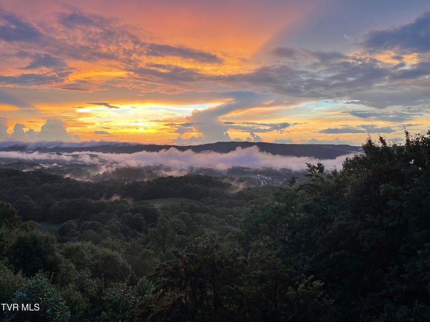 Photo #6: 512 Wood View Court