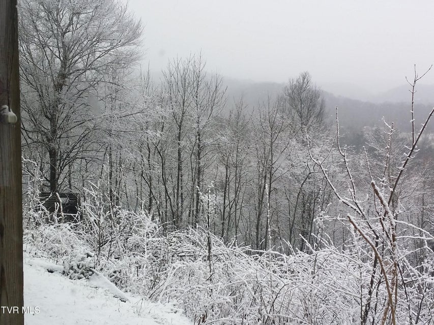 Photo #73: 512 Wood View Court