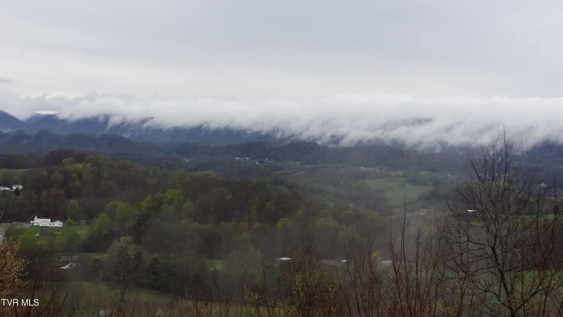 Photo #74: 512 Wood View Court