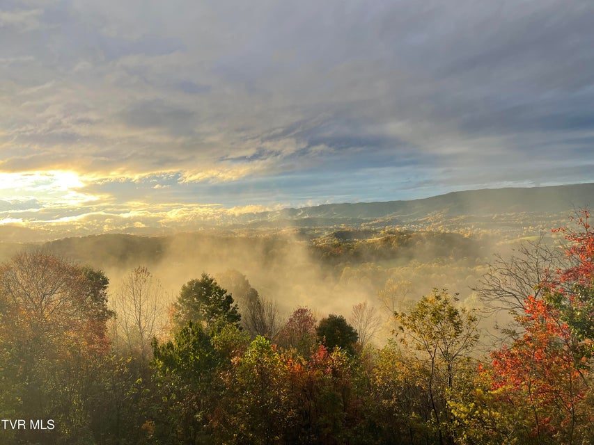 Photo #76: 512 Wood View Court