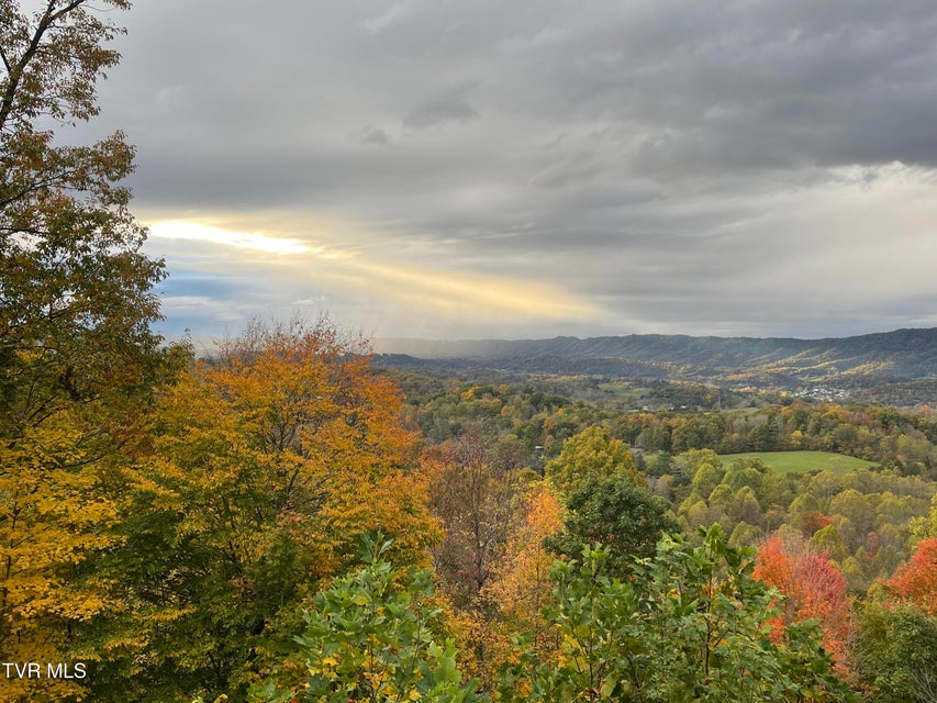 Photo #78: 512 Wood View Court