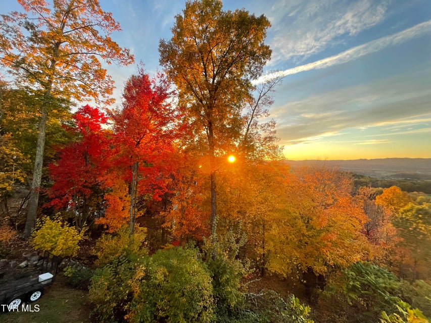 Photo #79: 512 Wood View Court