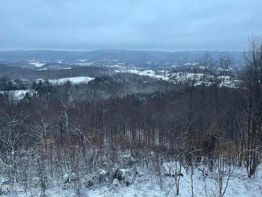 Photo #80: 512 Wood View Court