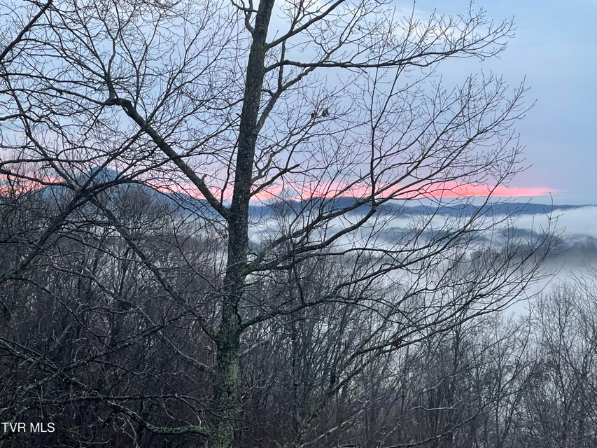 Photo #81: 512 Wood View Court