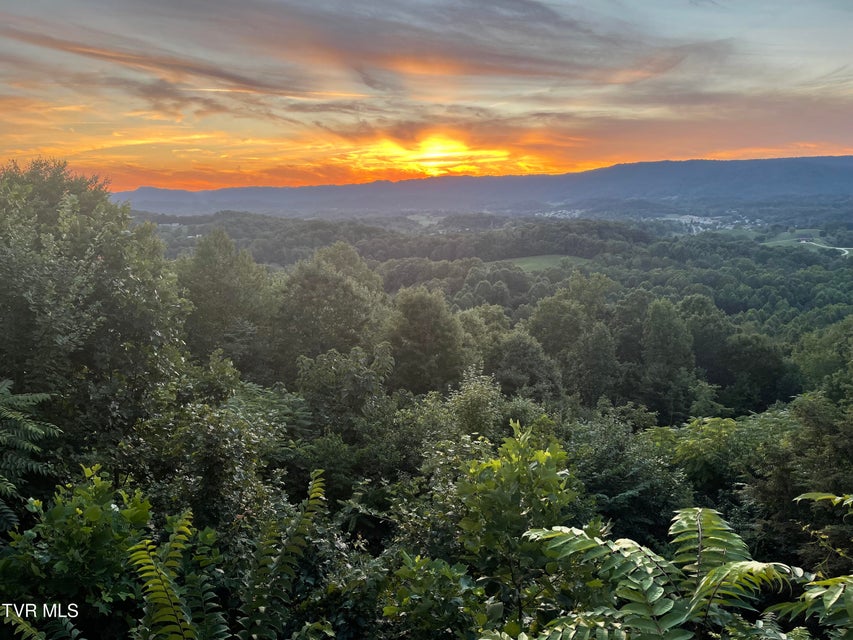 Photo #84: 512 Wood View Court