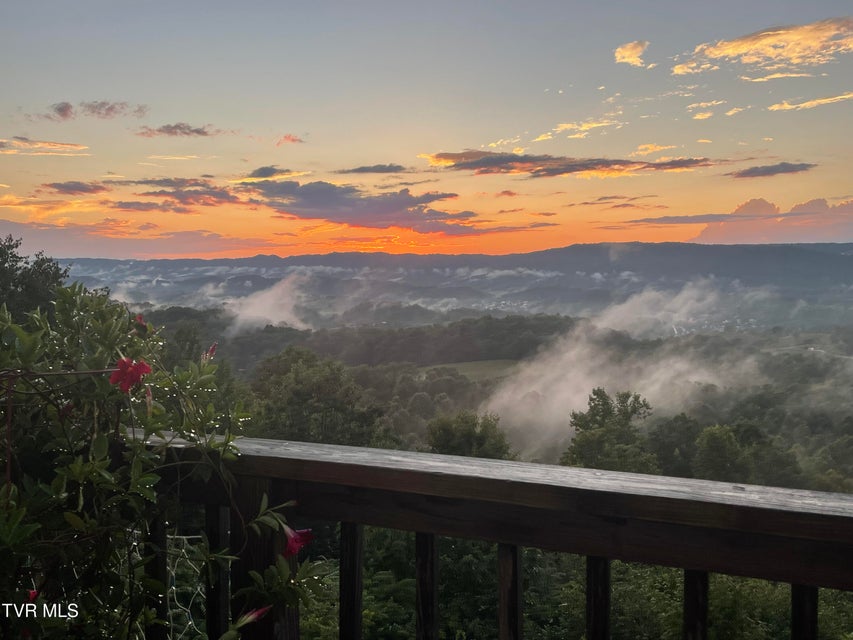 Photo #86: 512 Wood View Court