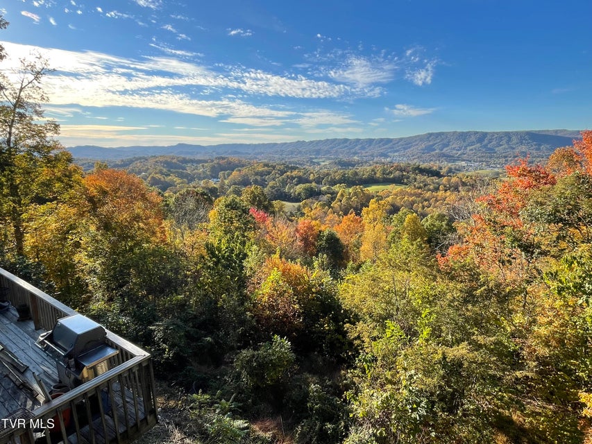 Photo #88: 512 Wood View Court