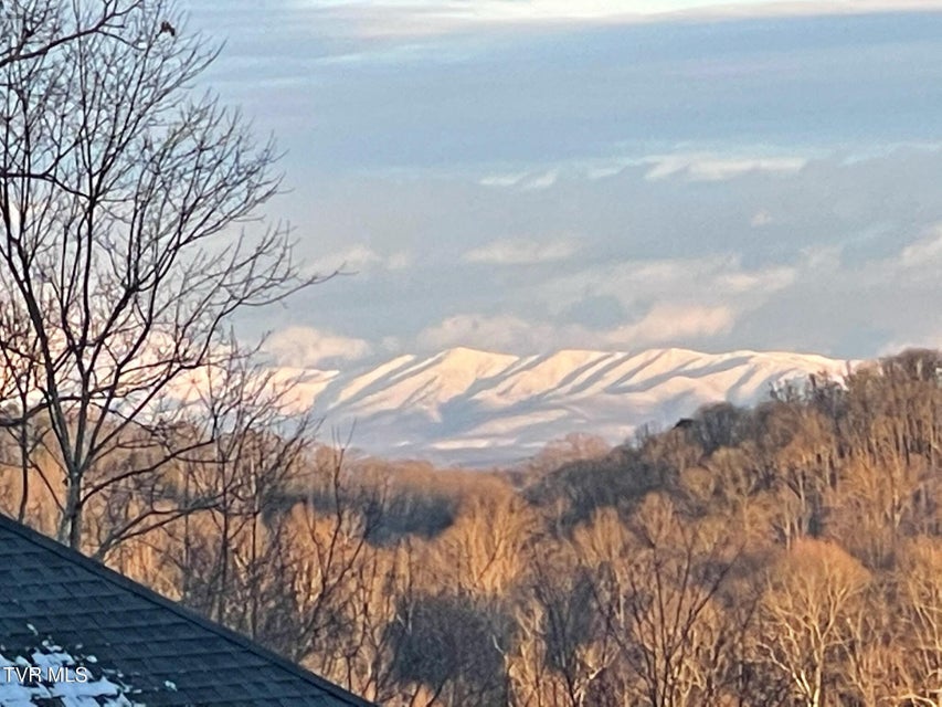 Photo #89: 512 Wood View Court