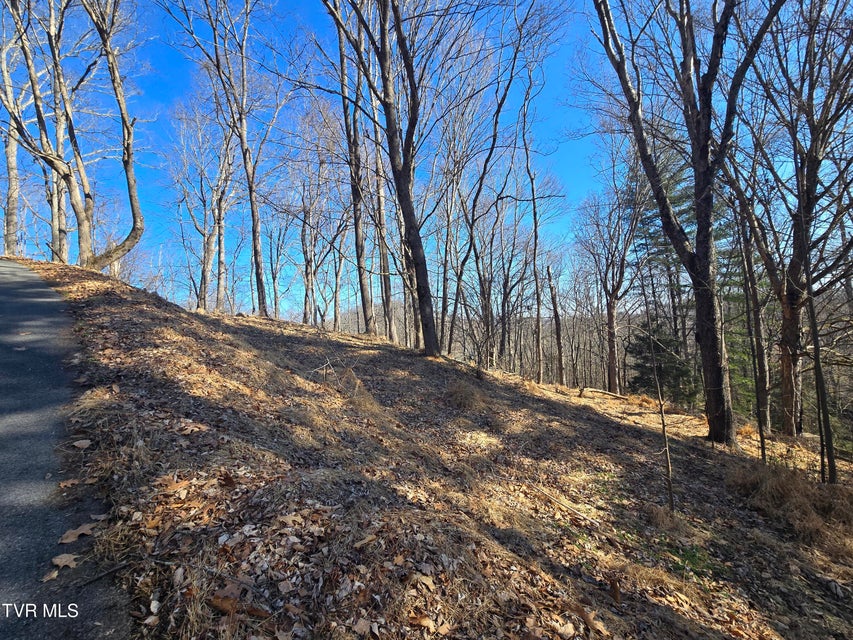 Photo #44: 324 Upland Way