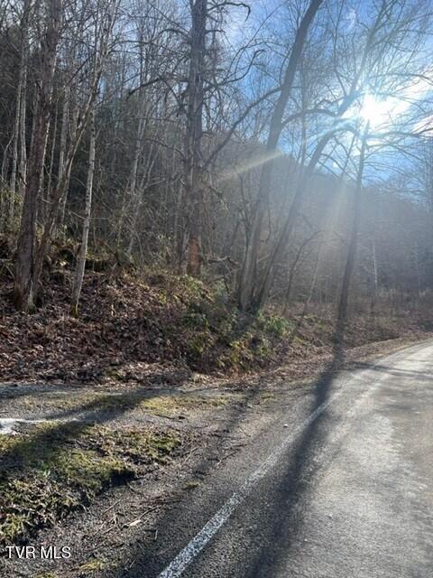 Photo #3: Near 2995 State Route 606 