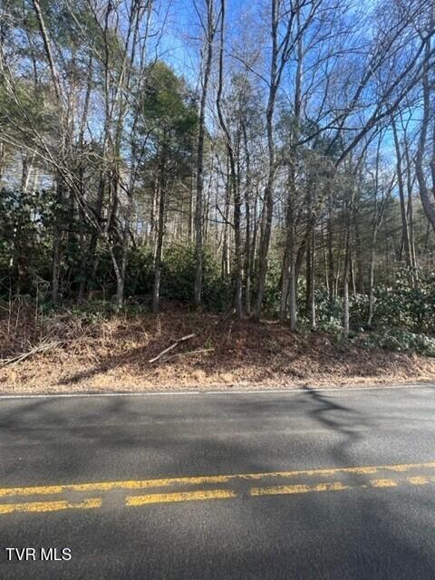 Photo #6: Near 2995 State Route 606 