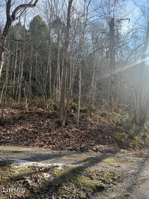 Photo #8: Near 2995 State Route 606 