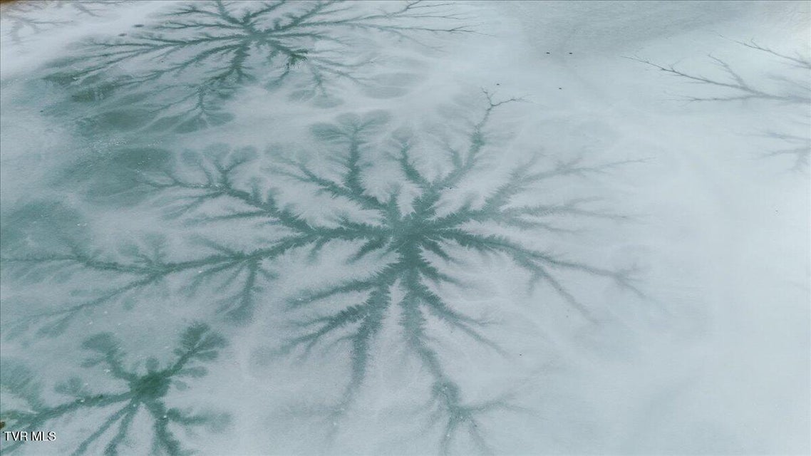 Photo #65: 1117 Waterbrooke Lane