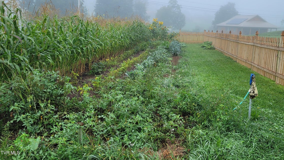 Photo #89: 28120 Osceola Road