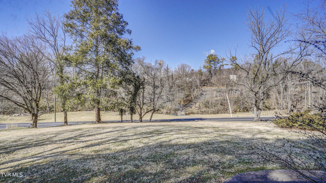 Photo #29: 985 Old Abingdon Highway