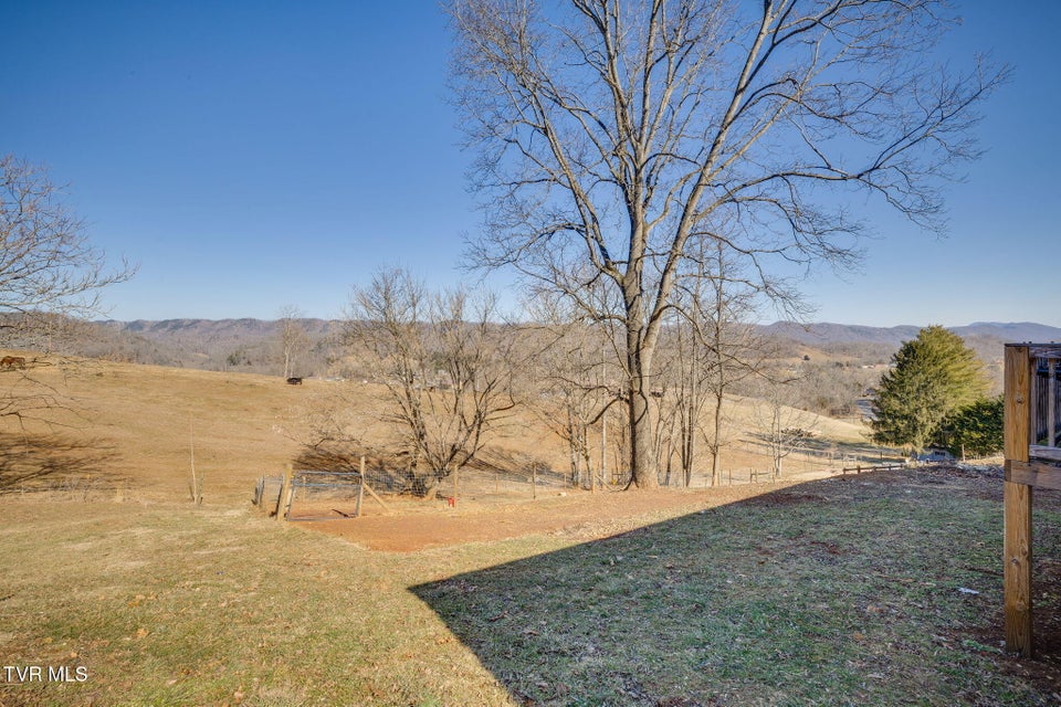 Photo #39: 307 Carolina Street