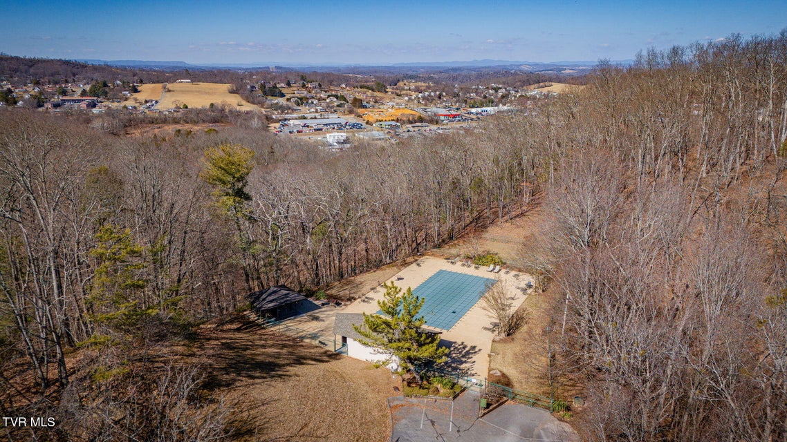 Photo #46: 316 Hickory Bluff