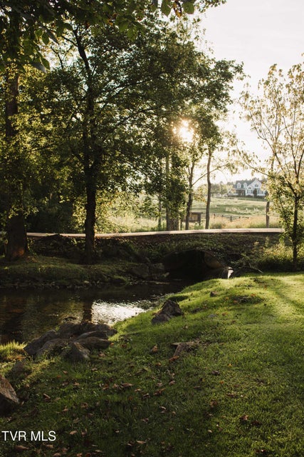 Photo #16: 21405 Parks Mill Road