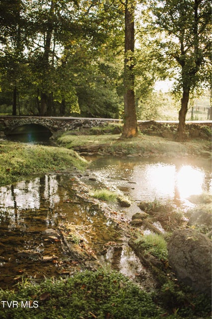 Photo #17: 21405 Parks Mill Road