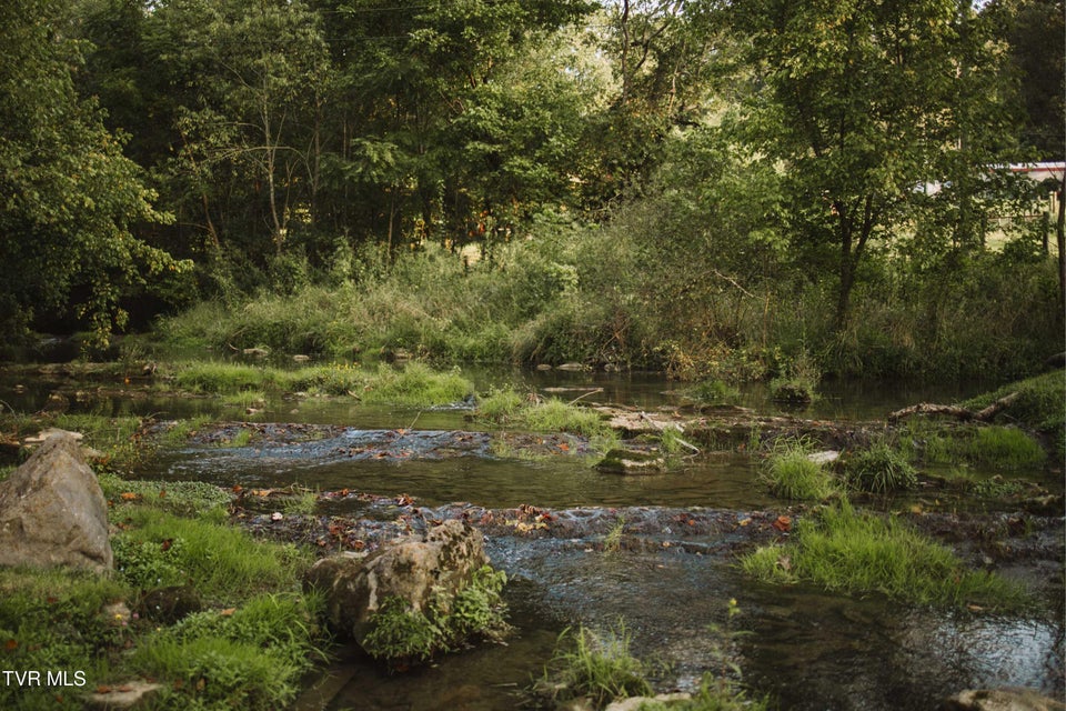 Photo #19: 21405 Parks Mill Road