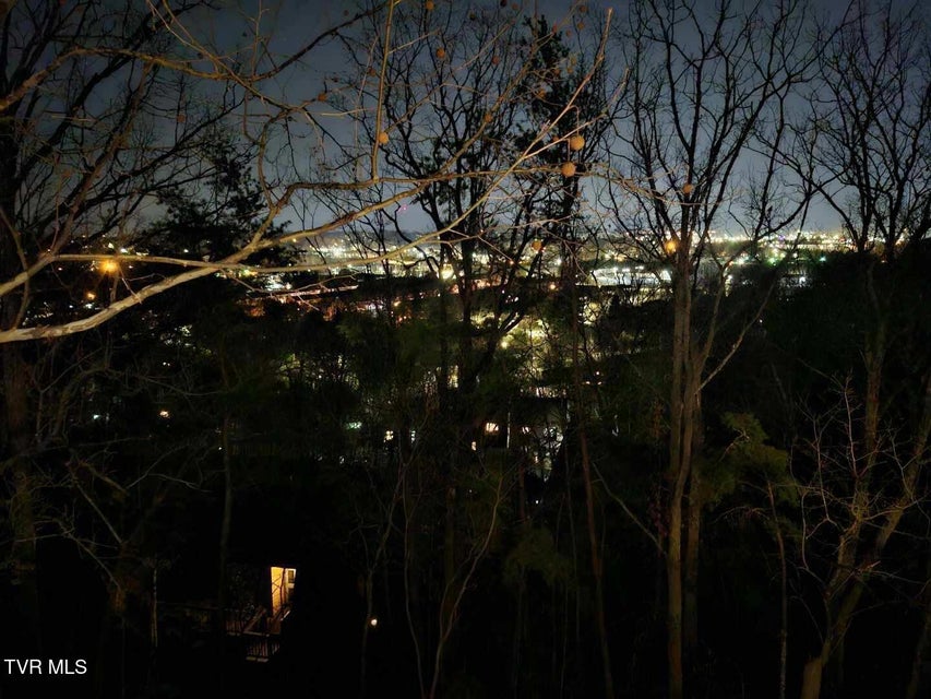 Photo #22: 316 Hickory Bluff