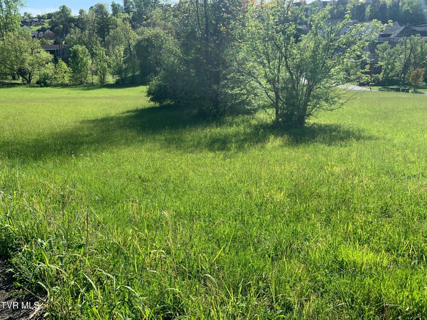 Photo #7: 6277 Kingsport Highway