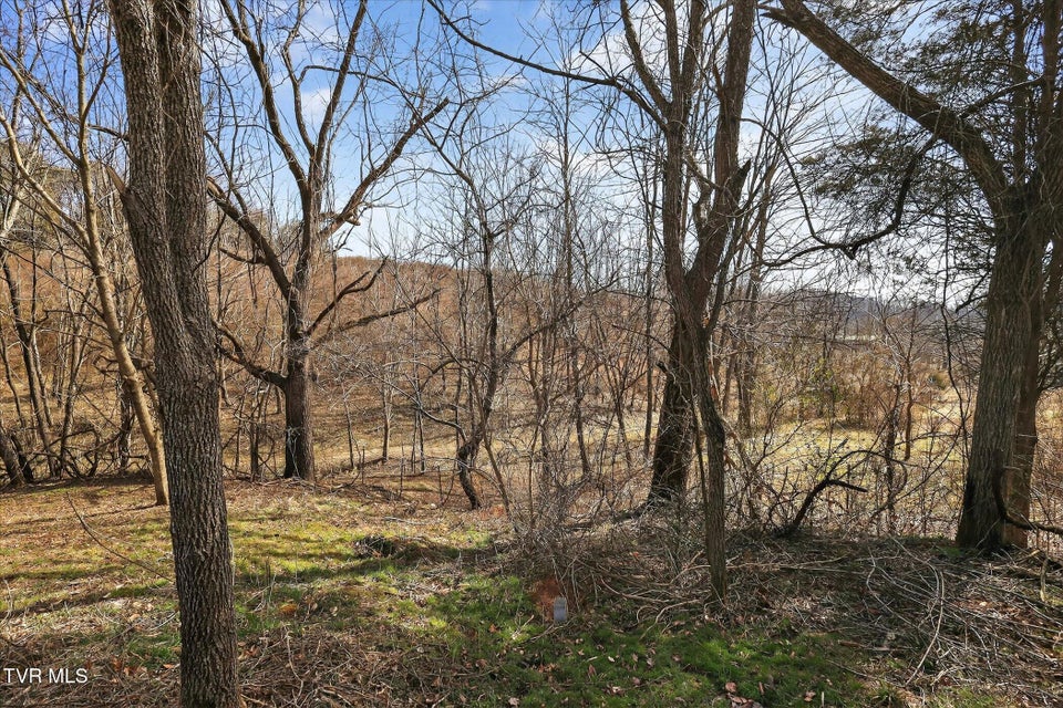 Photo #6: 353 Valley Drive