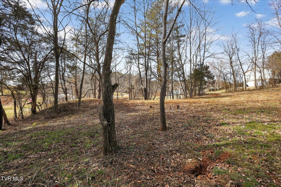 Photo #7: 353 Valley Drive