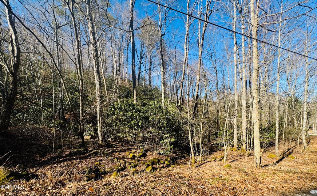 Photo #24: 220 Whitehead Hollow Road